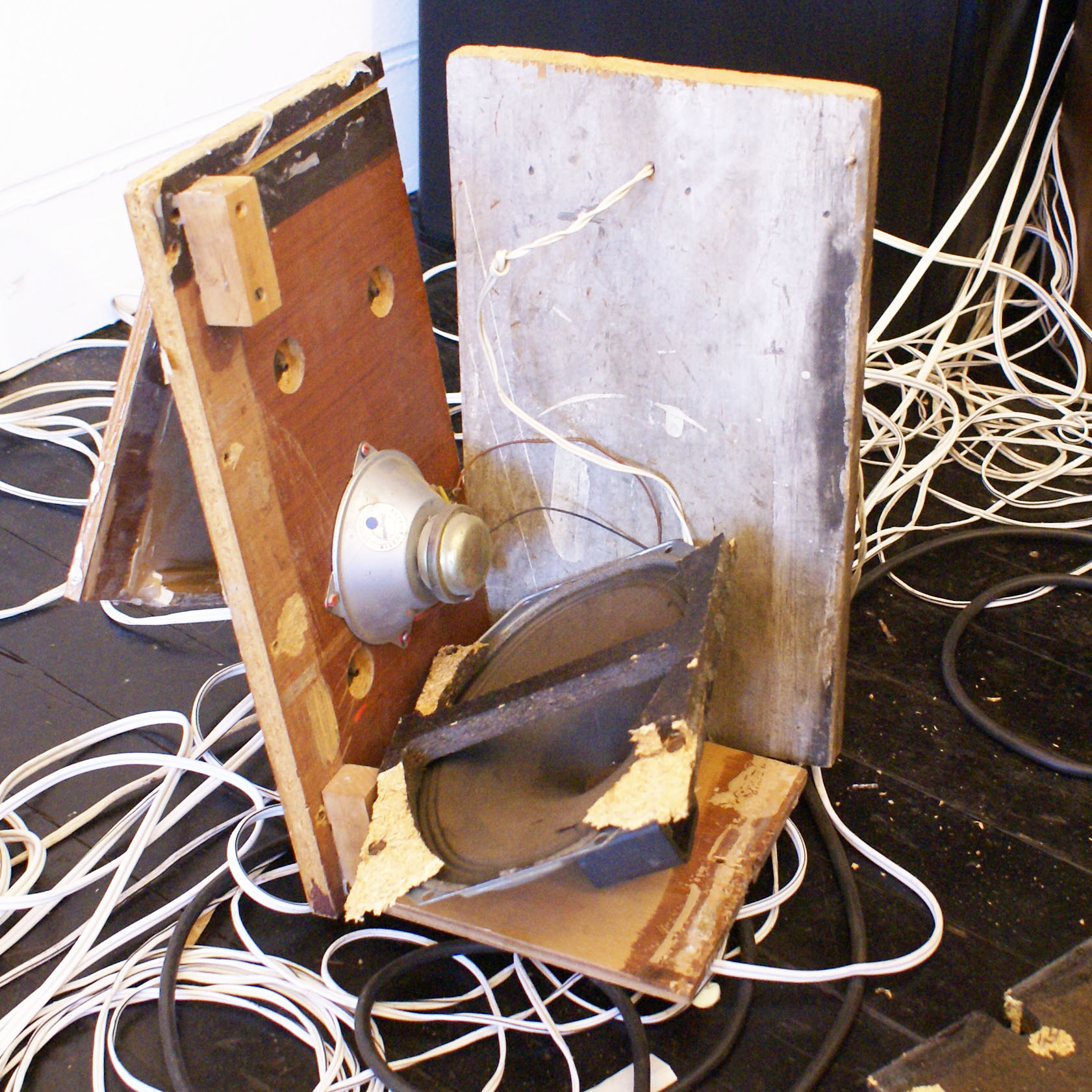 A home-made speaker bites the dust